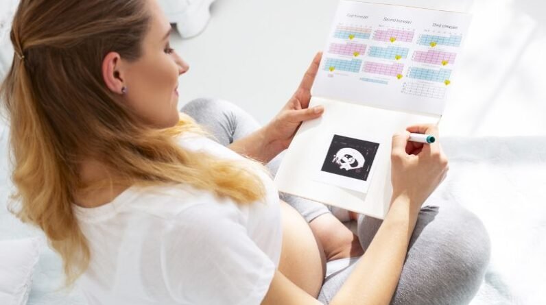 Celebrating Milestones: Creating a Pregnancy Journal for Memories