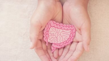 The Connection Between Gut Health and Women's Well-Being