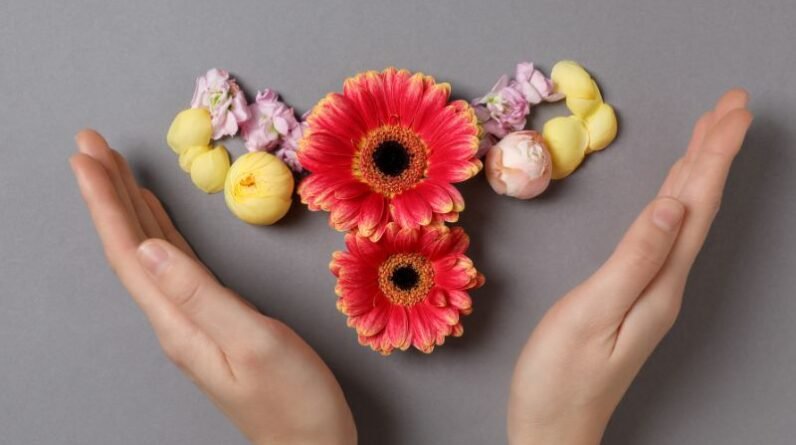The Hormonal Seasons Every Woman Should Understand